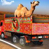 砂漠のラクダのトラック輸送