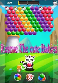 Bubble Shooter Pet Raccoon Screen Shot 1