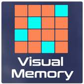 Visual Memory