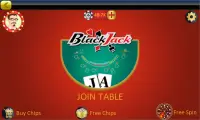 Blackjack 21 Offline Online Screen Shot 7
