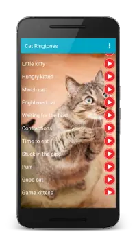 Cat Sounds Ringtones Purr Screen Shot 6