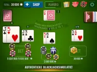 BLACKJACK 21 Casino Vegas - free card game Screen Shot 1