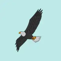 How to Draw a Bald Eagle Screen Shot 0