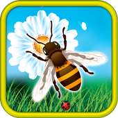 Worker Bee Fuga
