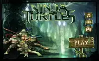 ninja fight turtle Screen Shot 0