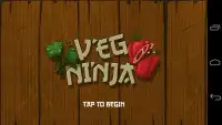 Veg Ninja Screen Shot 0