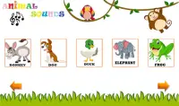 Animal Sounds - Animals for Kids, Learn Animals Screen Shot 18