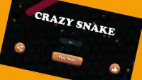 Crazy Snake - Slither Game Screen Shot 0