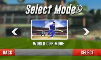Cricket World Cup 2018 - Cricket Champion League Screen Shot 3