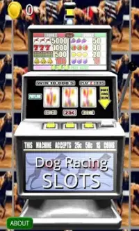 3D Dog Racing Slots - Free Screen Shot 0