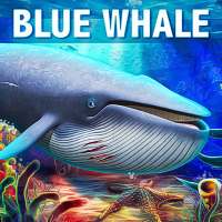 الحوت الأزرق محاكاة