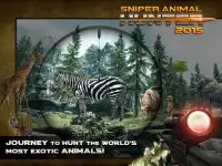 Sniper Shooting Hunt 2015 Screen Shot 2