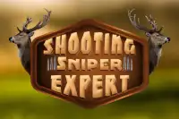 Sniper shoot expert Screen Shot 5