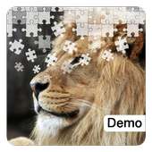 Lion Jigsaw Puzzles Demo