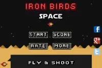 Iron Birds Space Screen Shot 1
