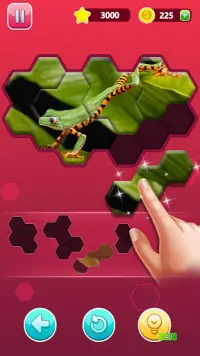 Hexa Jigsaw Epic Puzzle Screen Shot 6