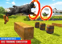 Hundetraining: Hundespiele 3D Screen Shot 11