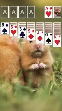 Solitaire Theme 🐿 Screen Shot 0