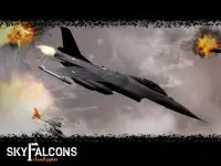 Sky Falcons Screen Shot 5