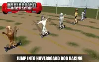 Race Dog on HoverBoard Screen Shot 3