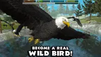 Ultimate Bird Simulator Screen Shot 0