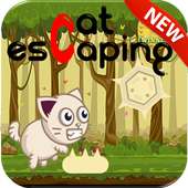 Cat escaping (NEW)