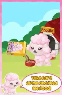 Poodle Play Screen Shot 2