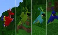 Mod Parrots for MCPE Screen Shot 2