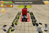 Truck Parking 3D : World Simulator Screen Shot 1