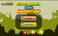 Super Ninja Grand Adventure Screen Shot 8