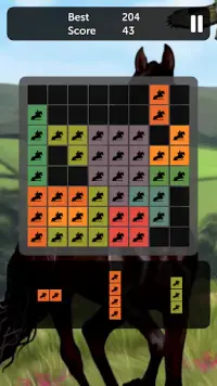Horse Blocks - Puzzle Games Screen Shot 2