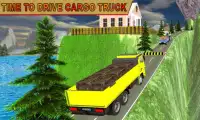 Indian Cargo Truck Driver Screen Shot 0