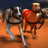 Greyhound Dog Racing Simulator