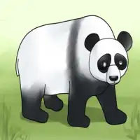 How to Draw a Panda Screen Shot 0