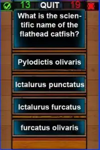 Flathead Catfish Quiz Screen Shot 2