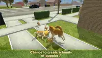 Pomeranian Dog Adventure - Puppy City Wild Life Screen Shot 1