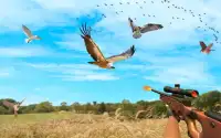 des oiseaux chasse saison tireur d'élite chasseur Screen Shot 0