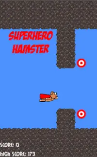 Superhero Hamster Screen Shot 0