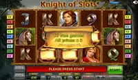 Knight of Slots Screen Shot 1