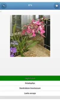 النباتات المنزلية - quiz Screen Shot 2