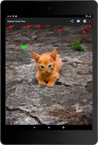 Speed Count Screen Shot 19