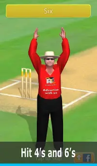 Smashing Cricket: cricket game Screen Shot 9