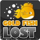 Gold Fish Lost
