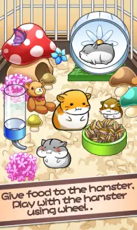 Hamster Life - 햄스터 라이프 Screen Shot 1