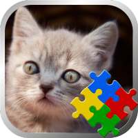 Jigsaw Puzzles - FREE - Cats & Kittens