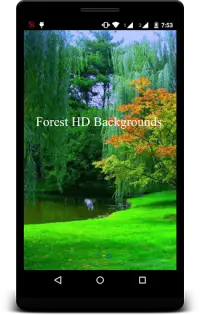 Forest HD Backgrounds Screen Shot 0