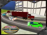 Real Euro 3D Truck Driver Sim Screen Shot 5