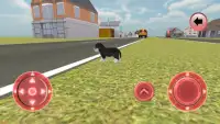 Real Puppy Simulator Screen Shot 5