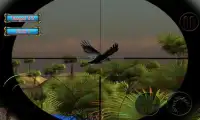 caça real tiro pássaro Screen Shot 0