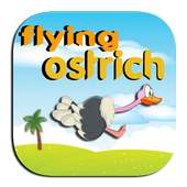 Ostrich Flying